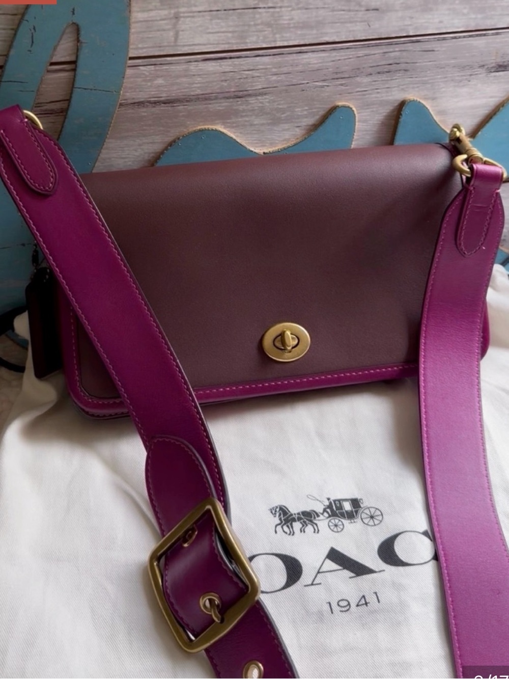 COACH COLORBLOCK DINKY DARK TEAK 89171 NWT